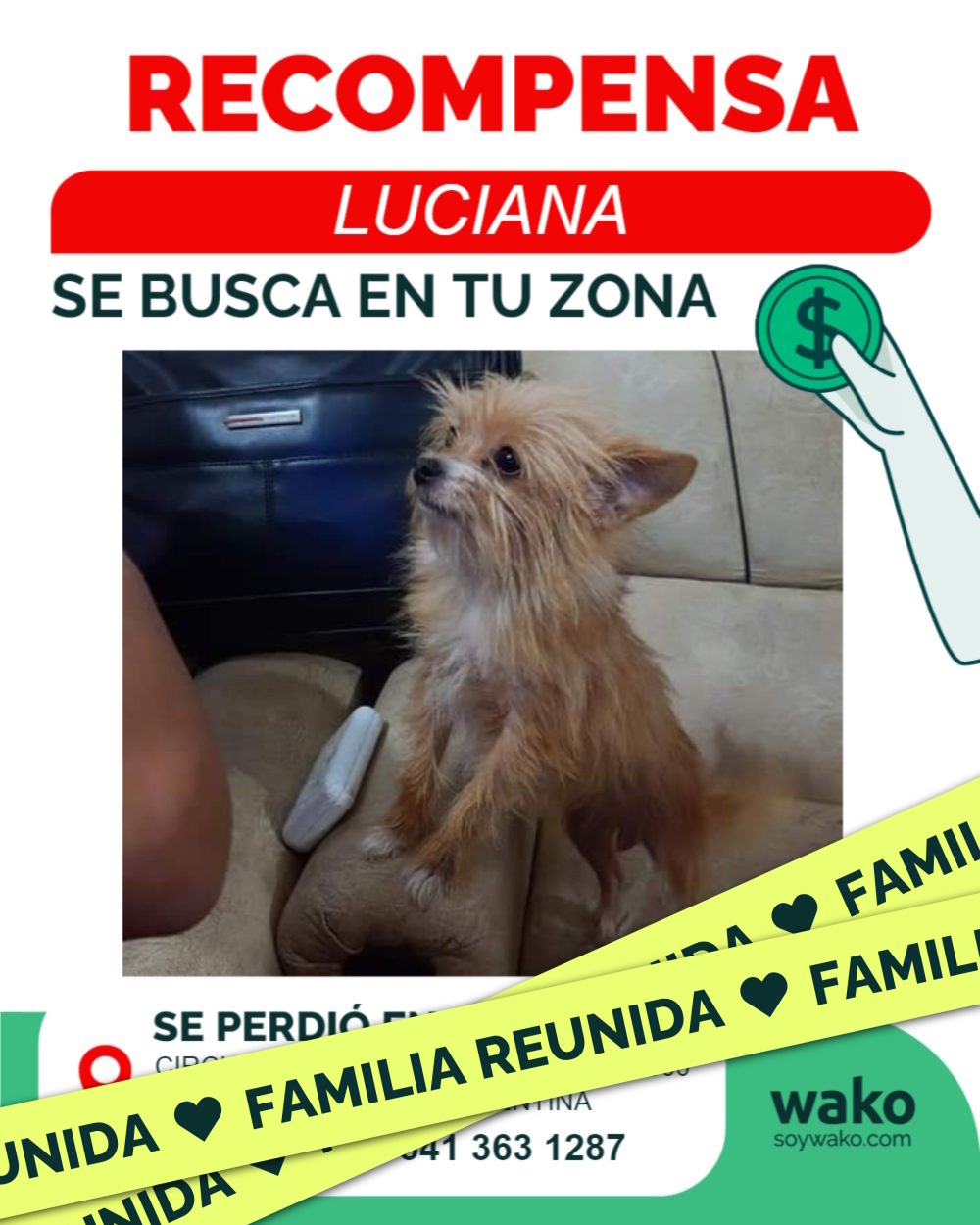 Mascota reunida