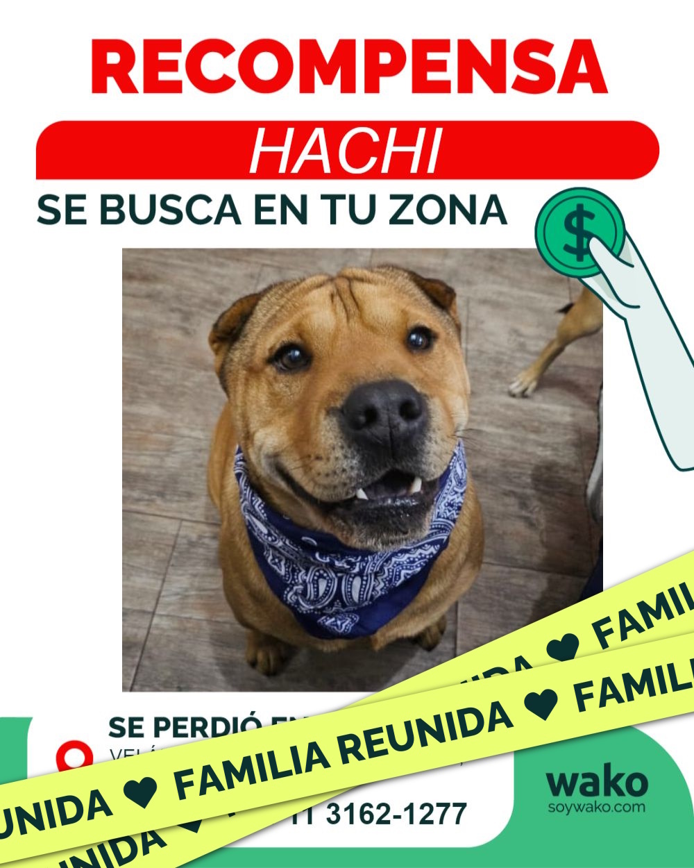 Mascota reunida