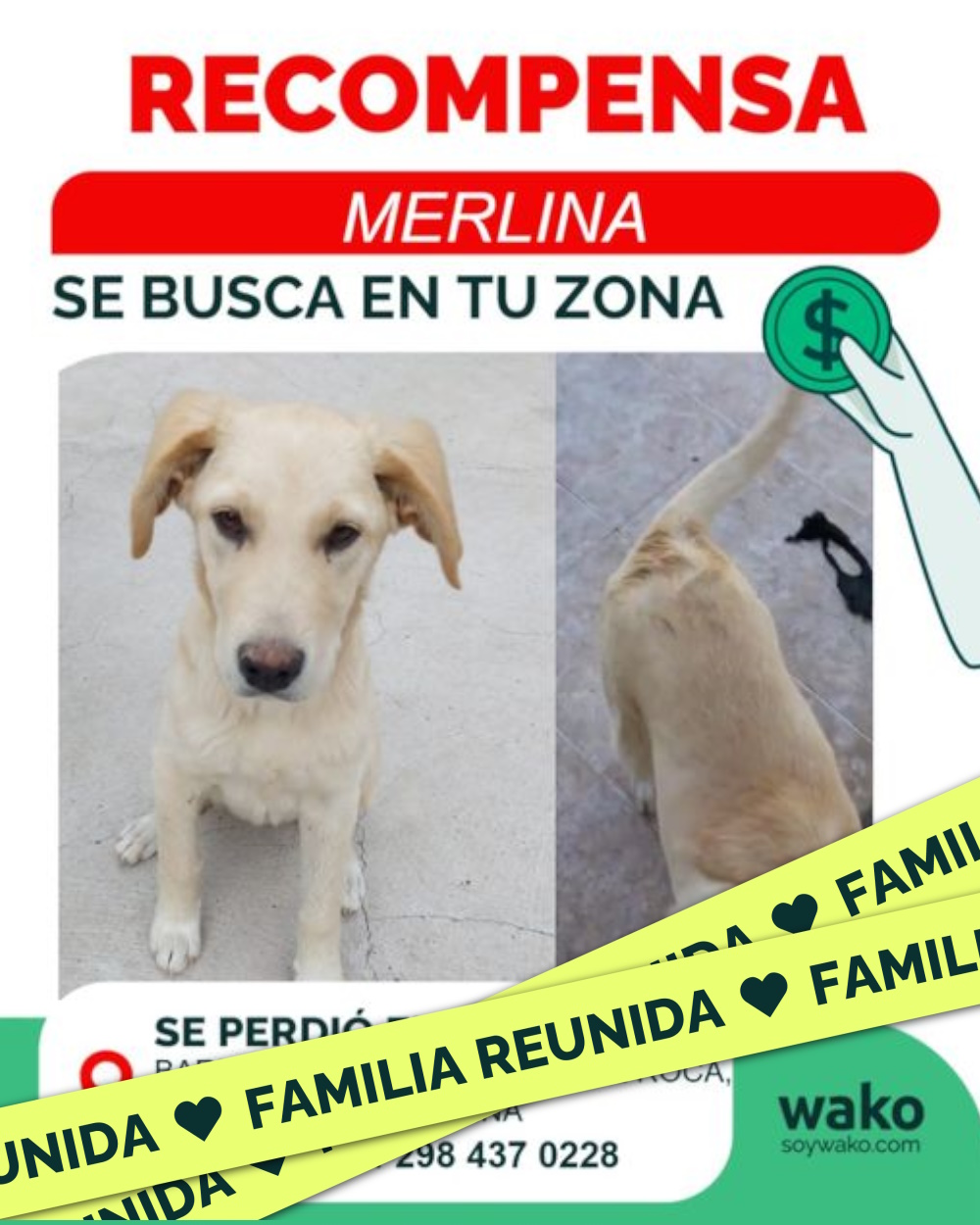 Mascota reunida