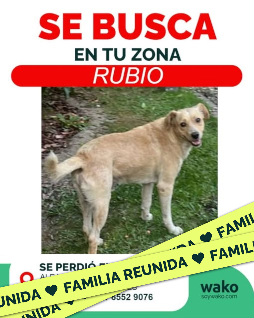 Mascota reunida