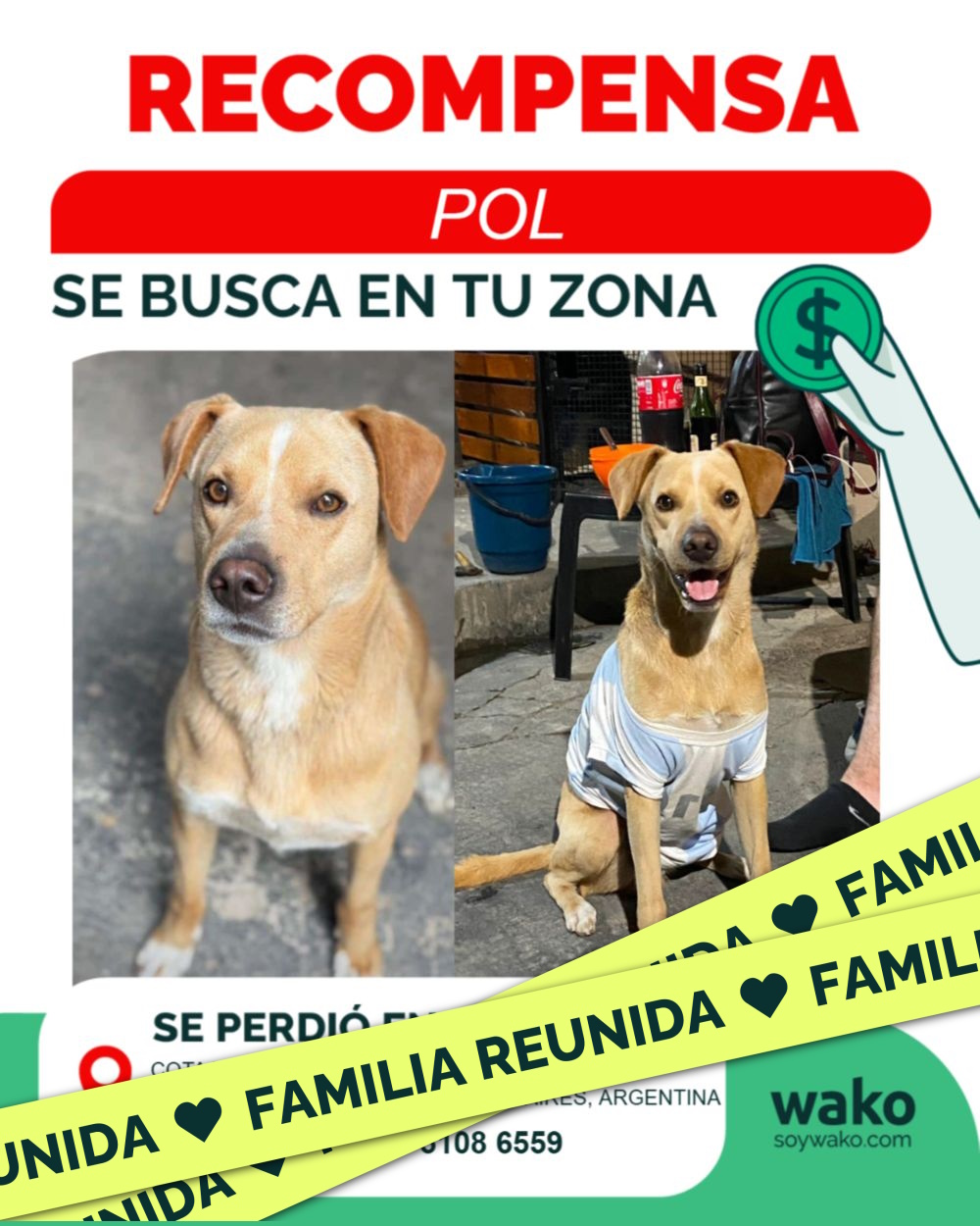 Mascota reunida