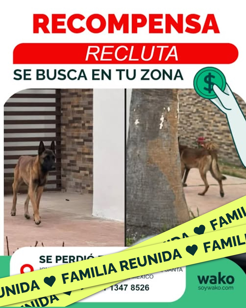 Mascota reunida