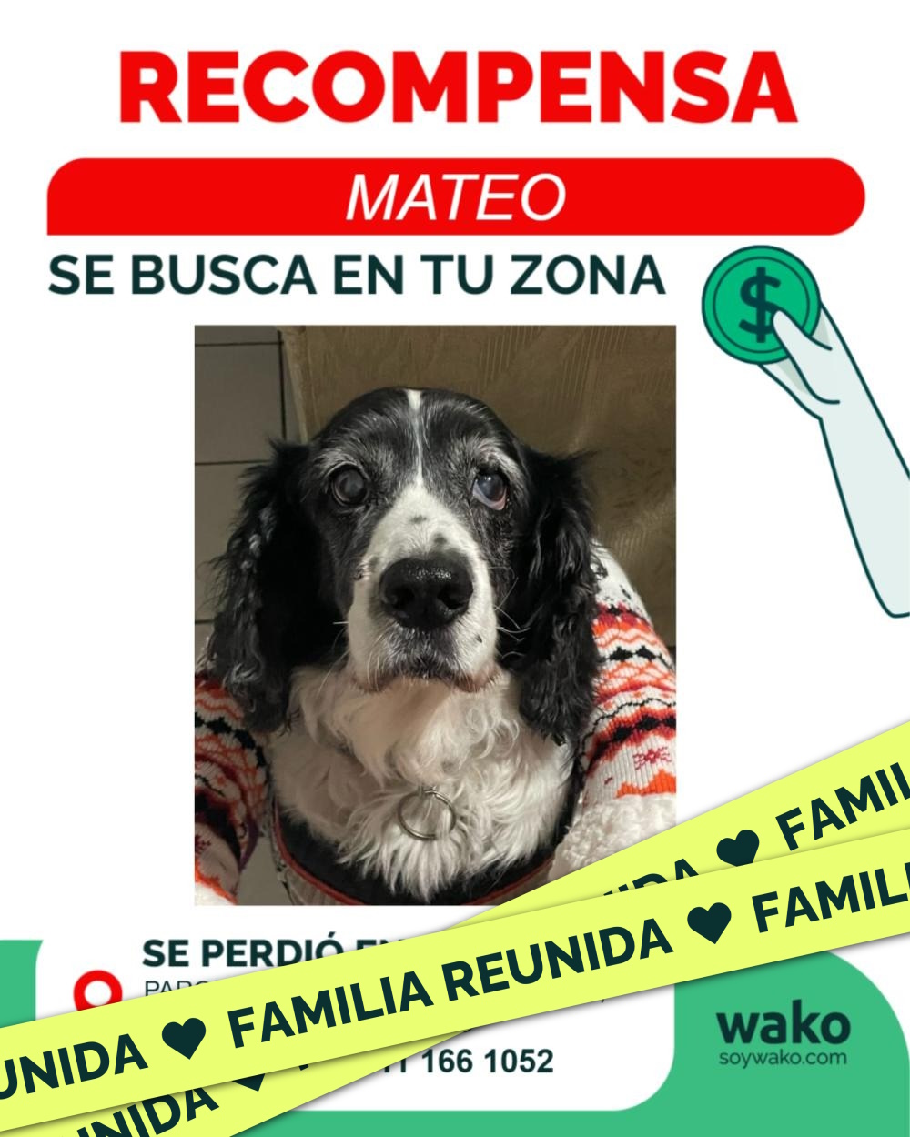 Mascota reunida
