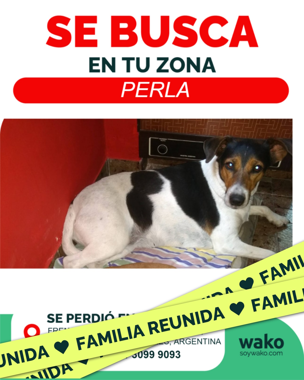 Mascota reunida