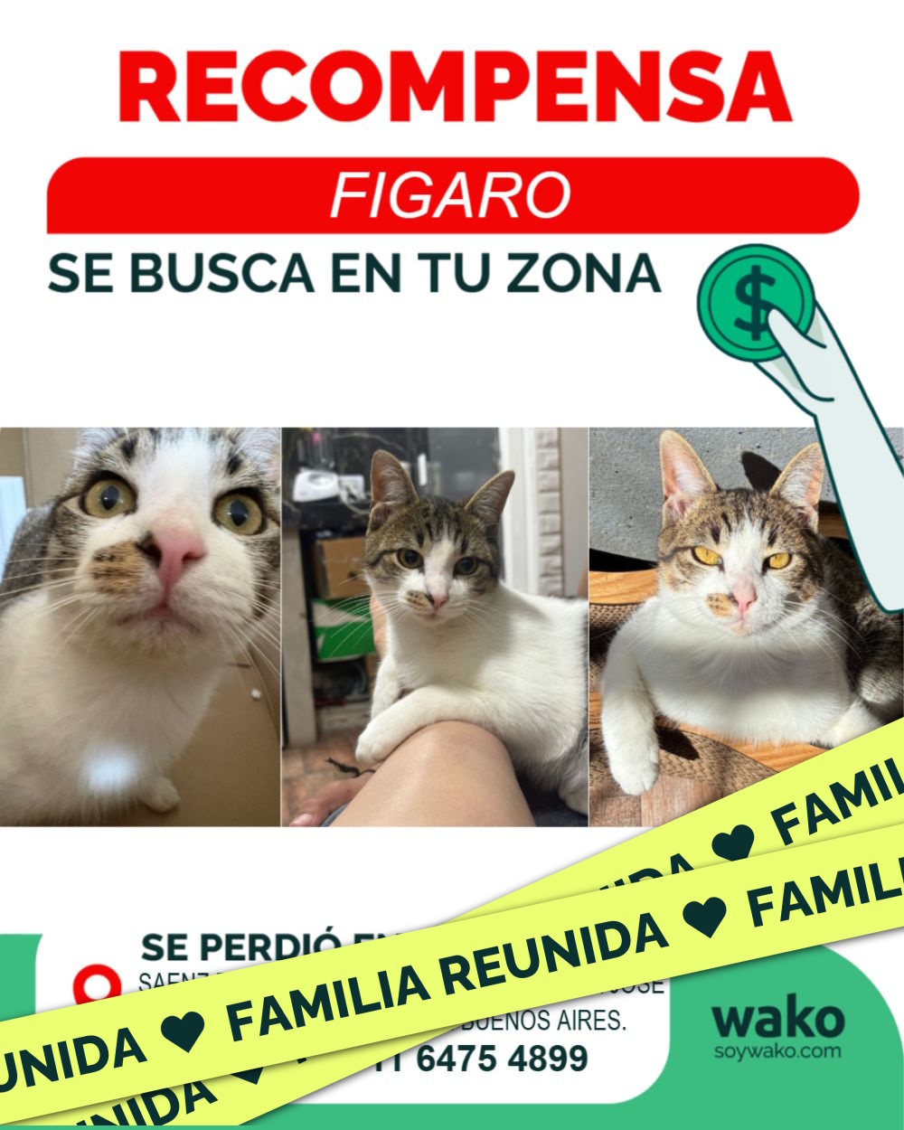 Mascota reunida