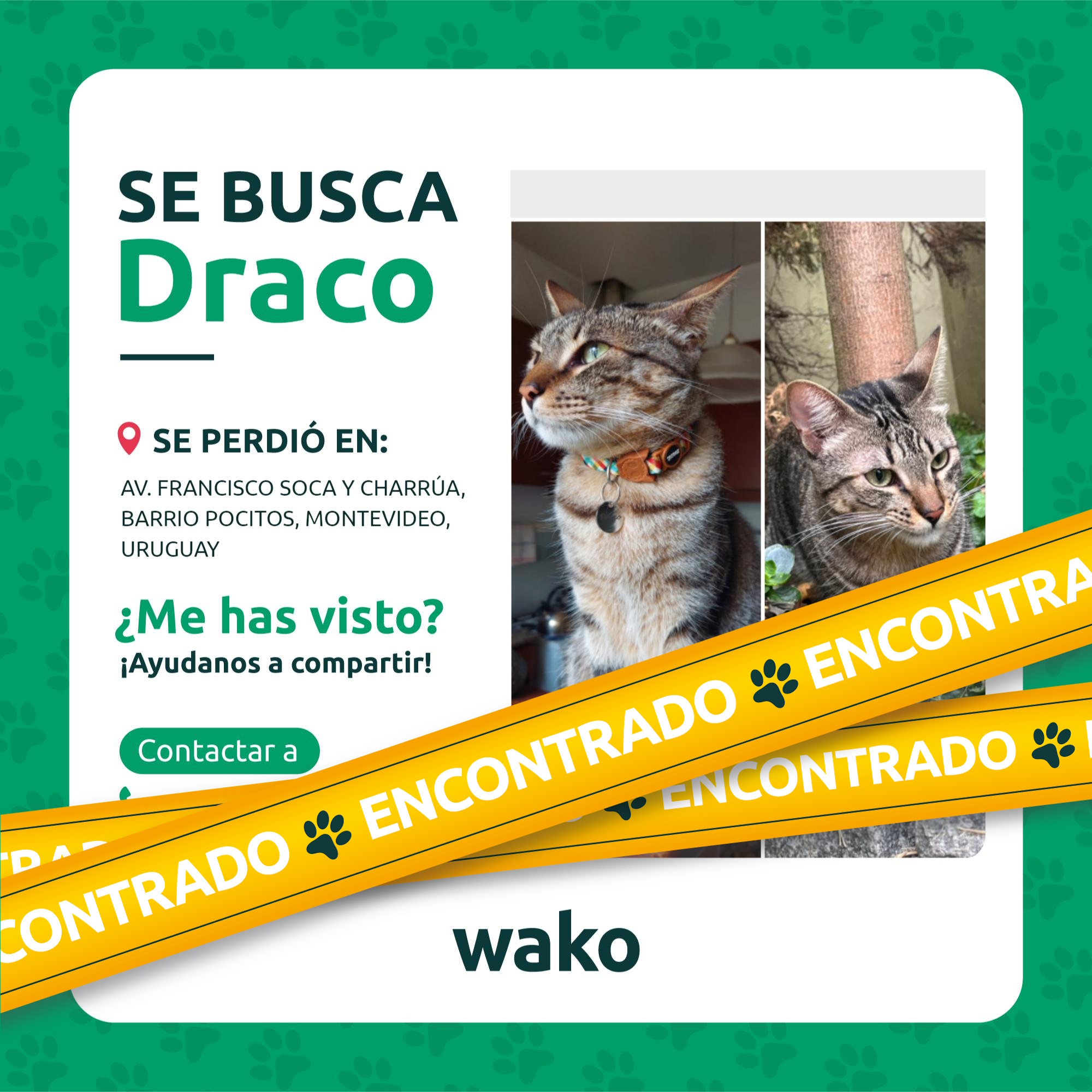 Mascota reunida
