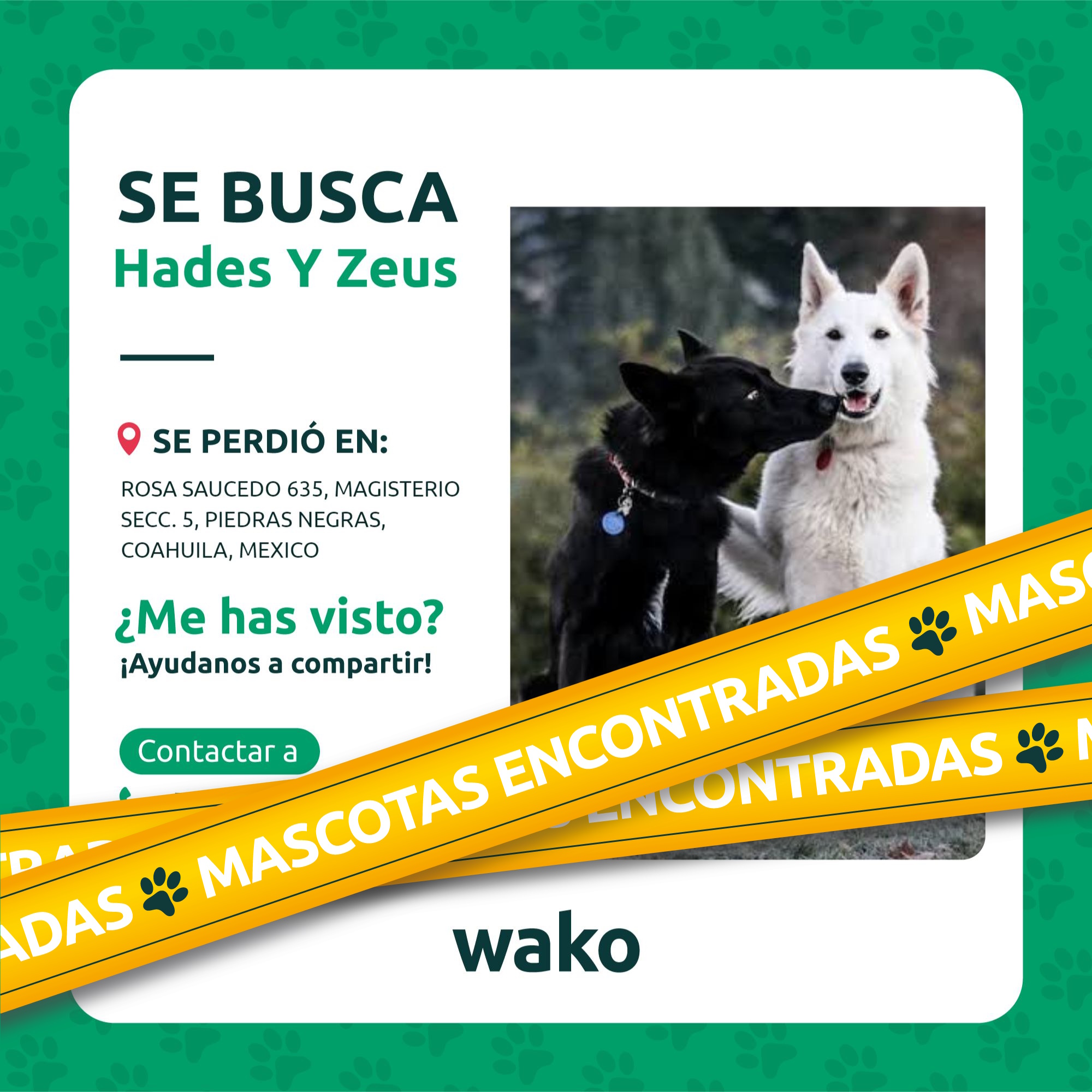 Mascota reunida
