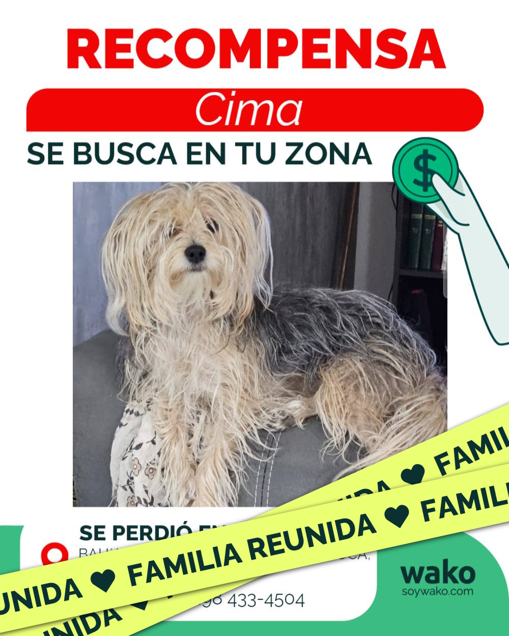Mascota reunida