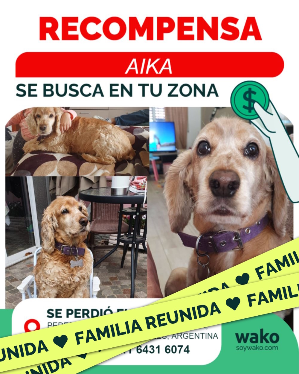 Mascota reunida