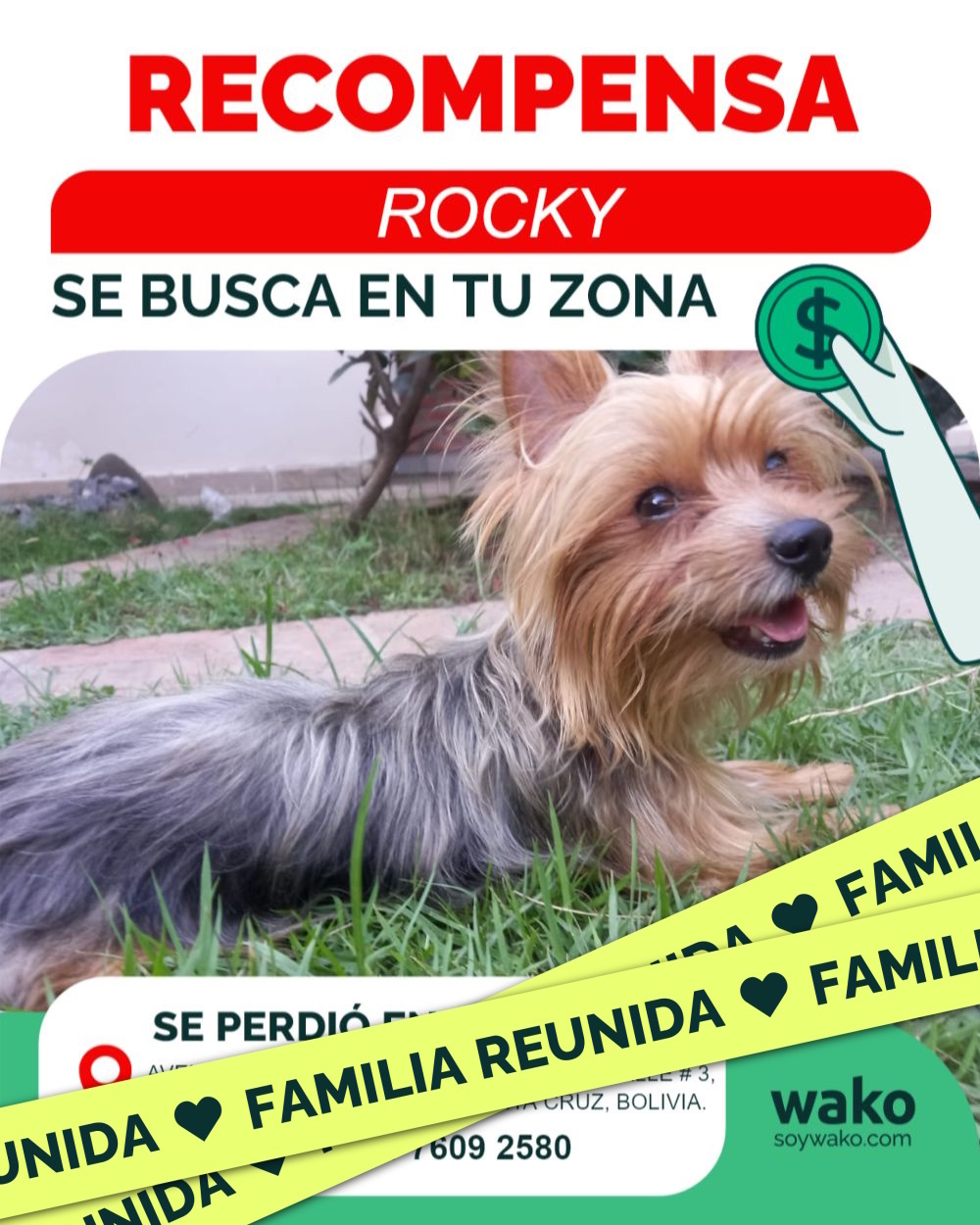 Mascota reunida