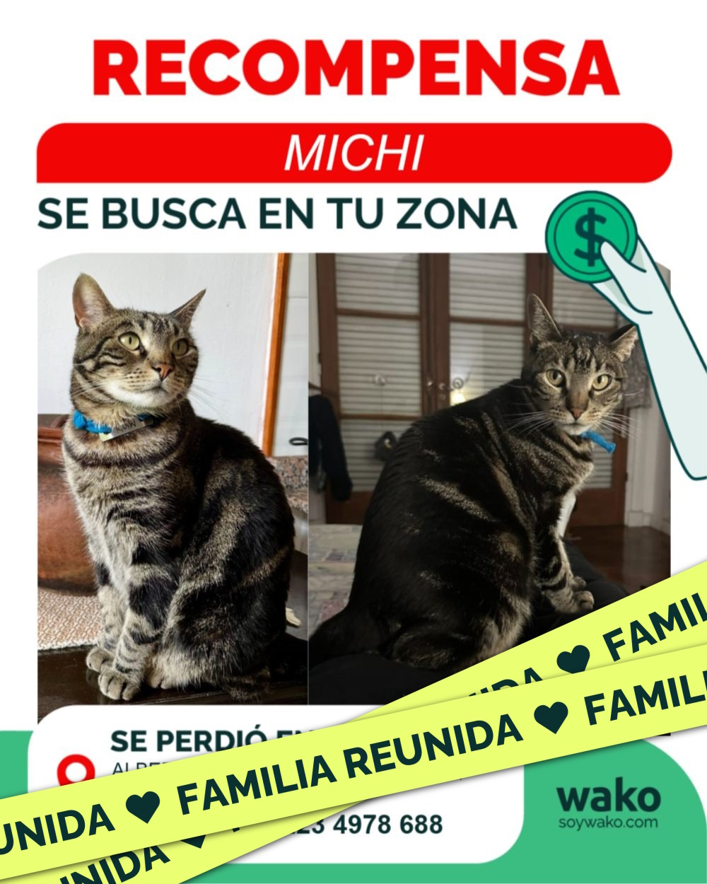Mascota reunida