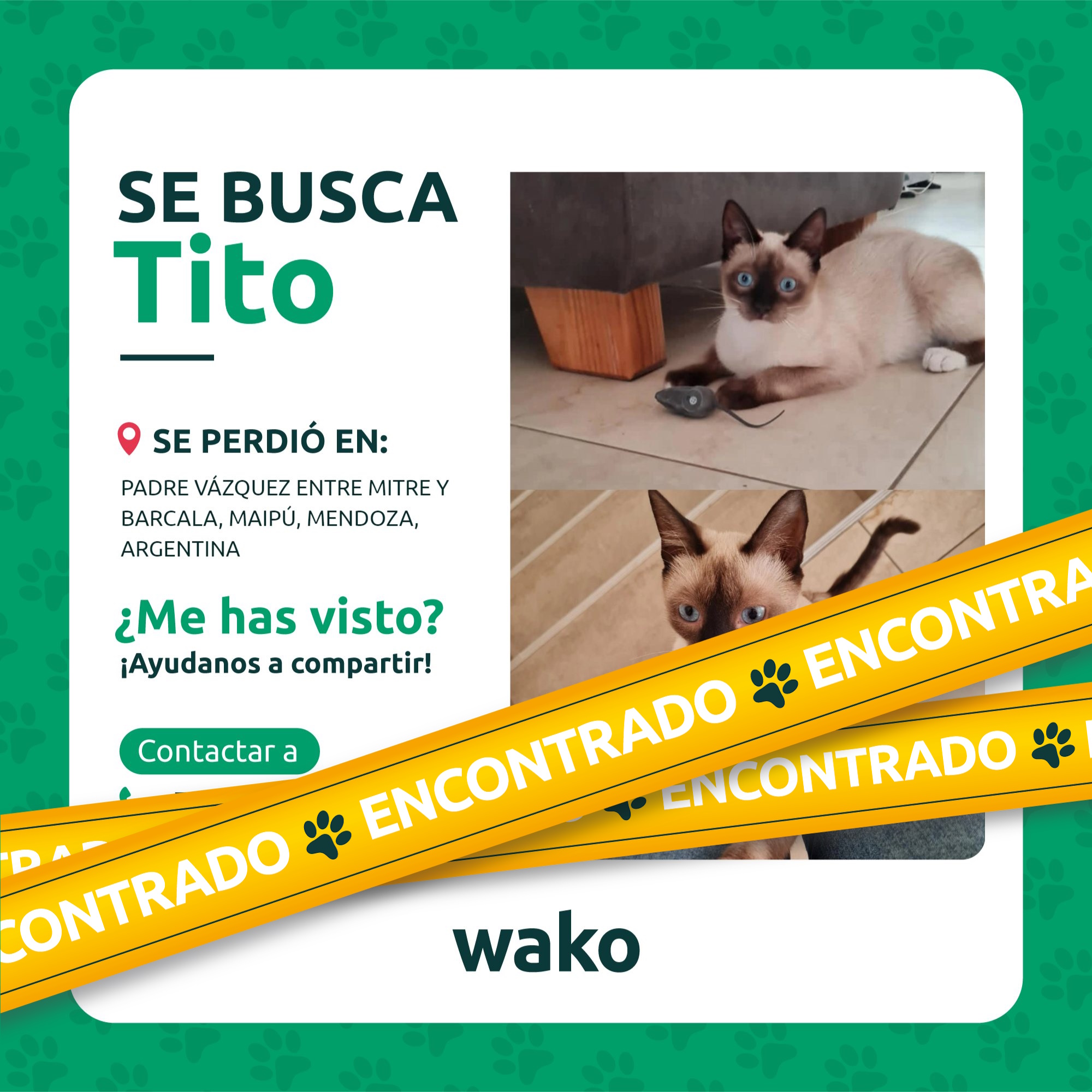 Mascota reunida