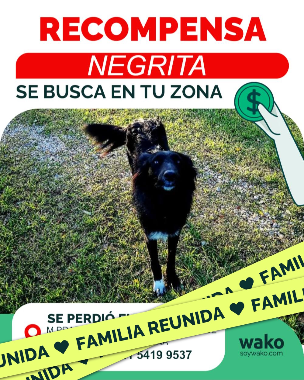 Mascota reunida