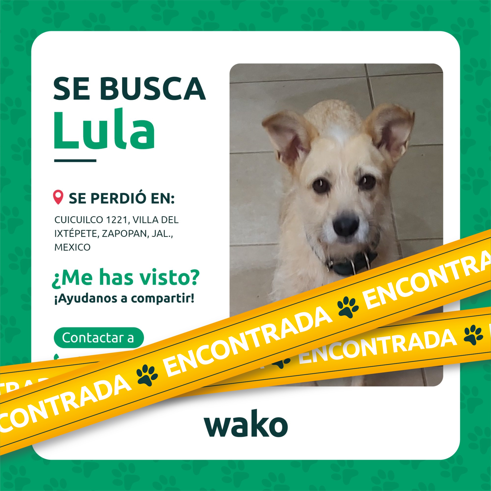 Mascota reunida