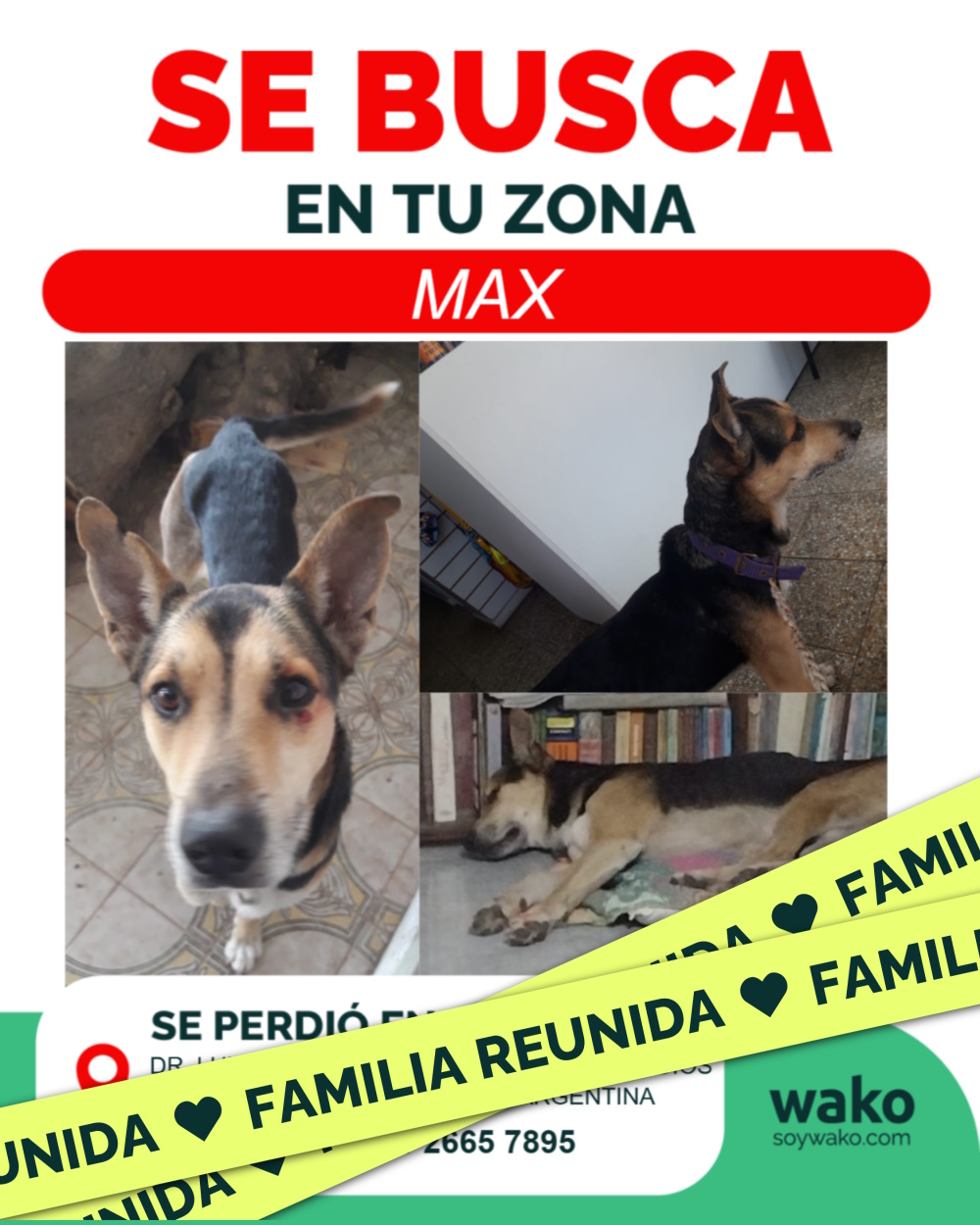 Mascota reunida