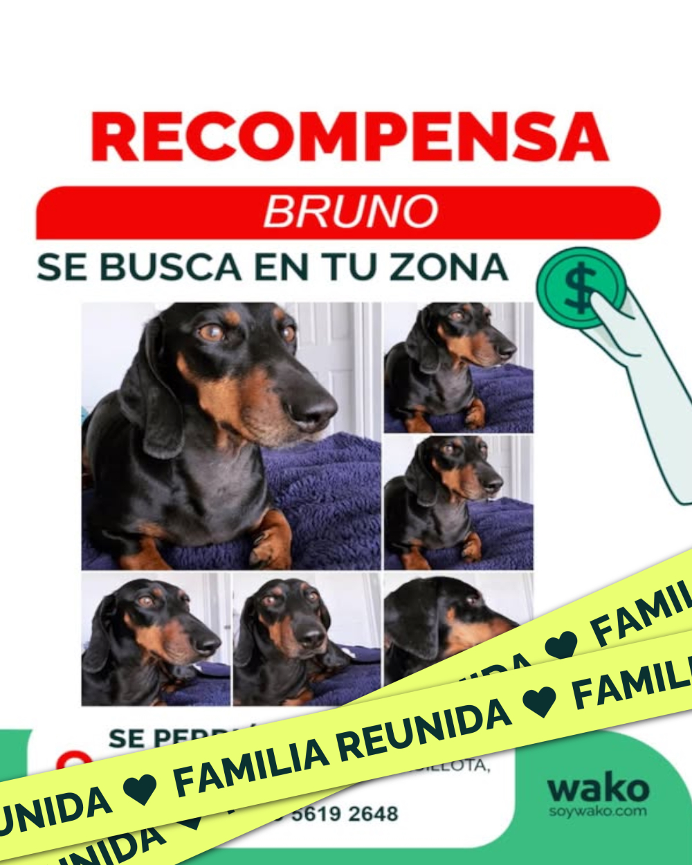 Mascota reunida