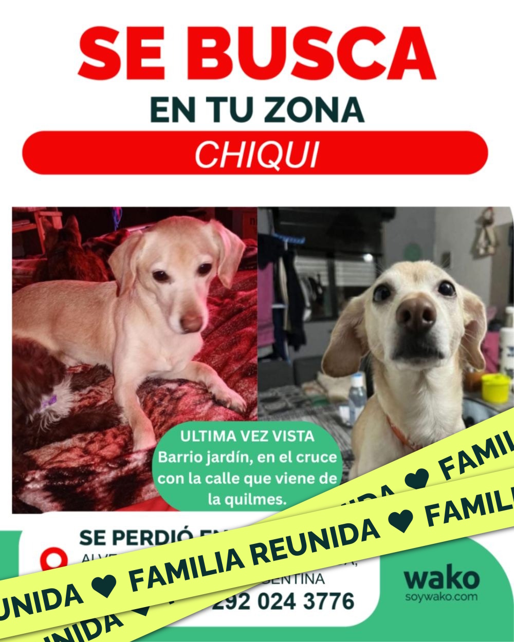 Mascota reunida