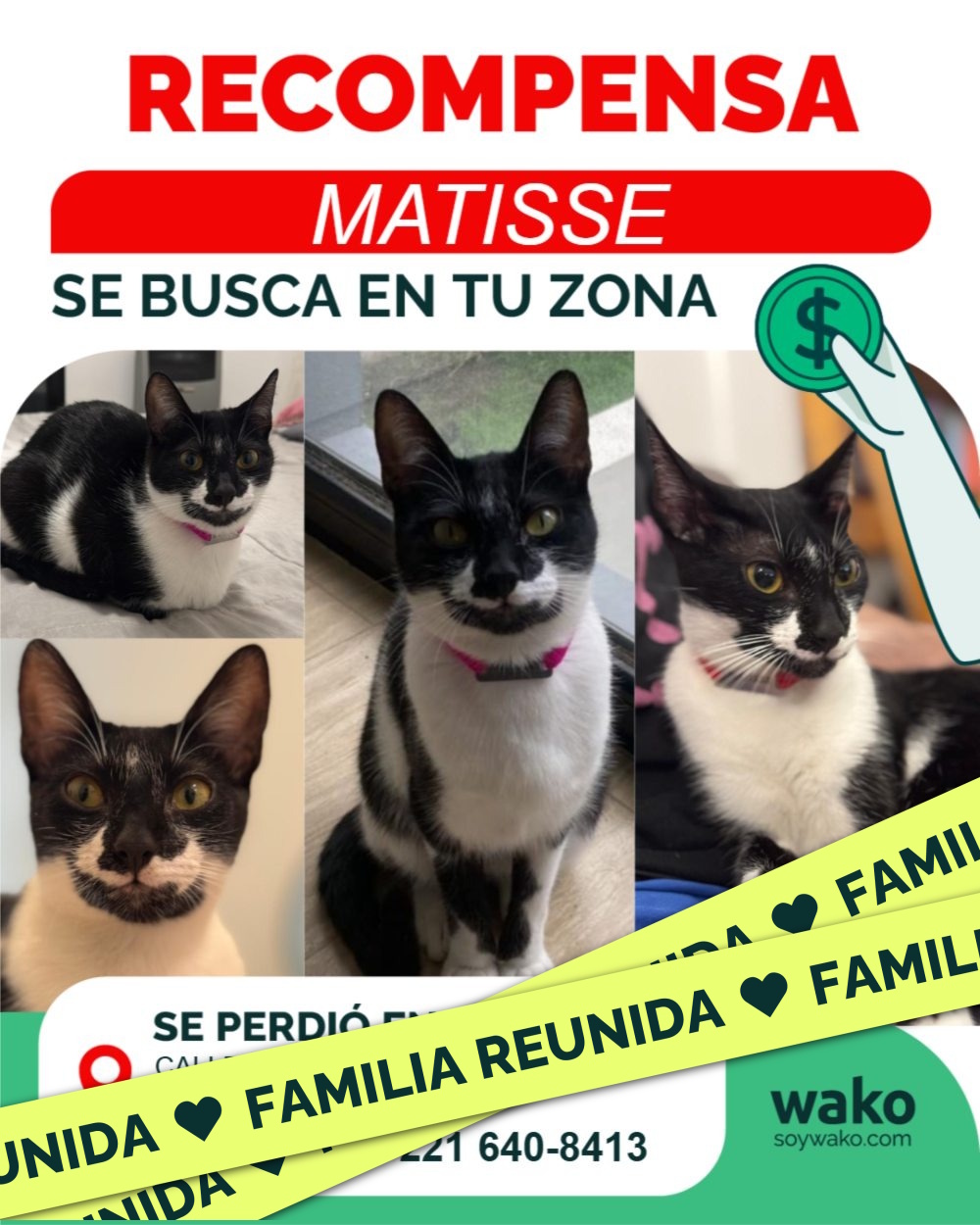 Mascota reunida