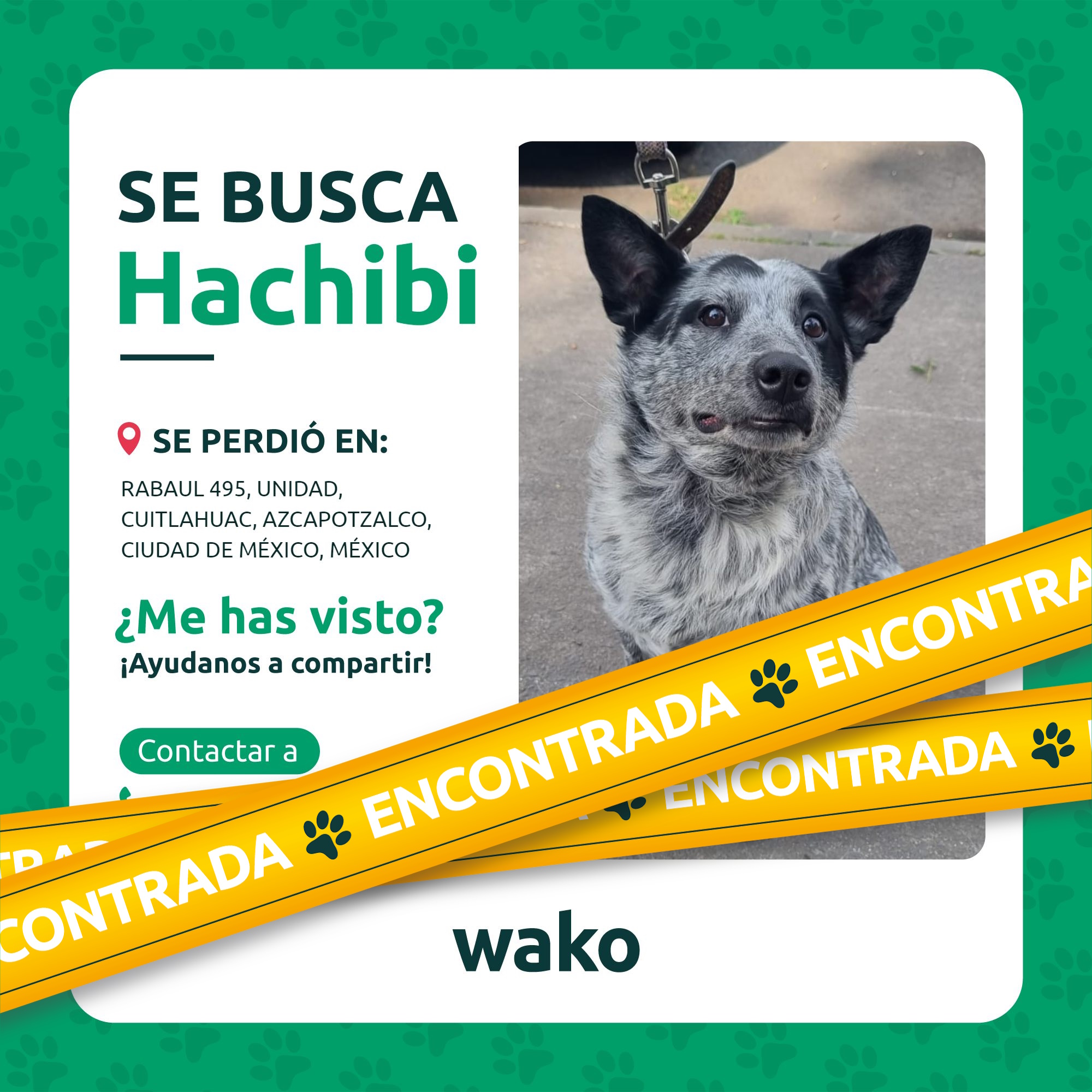 Mascota reunida