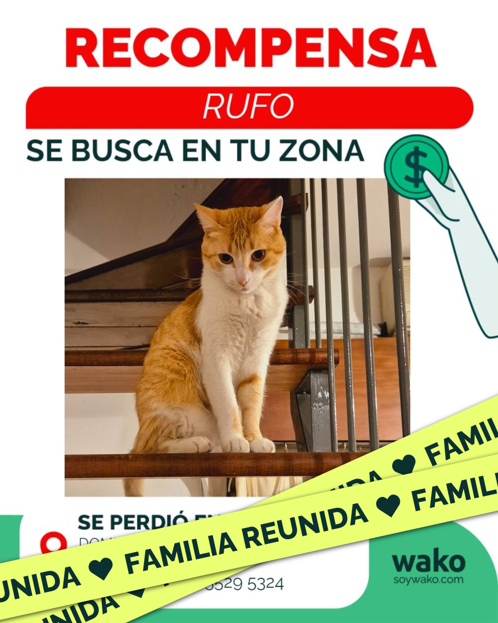 Mascota reunida