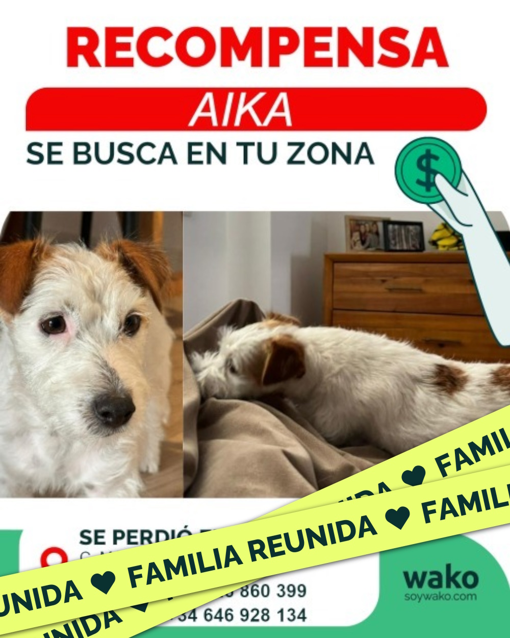 Mascota reunida