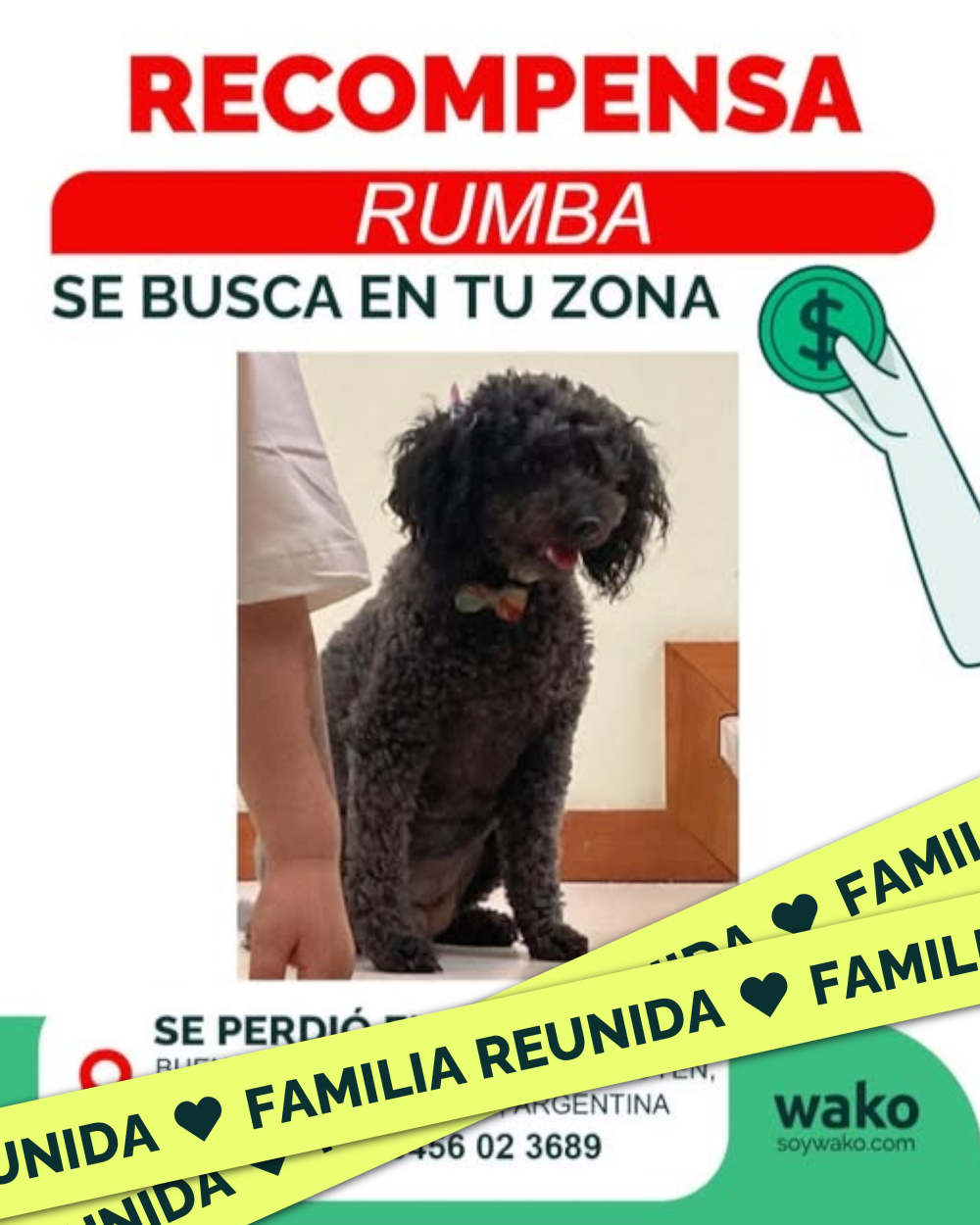 Mascota reunida