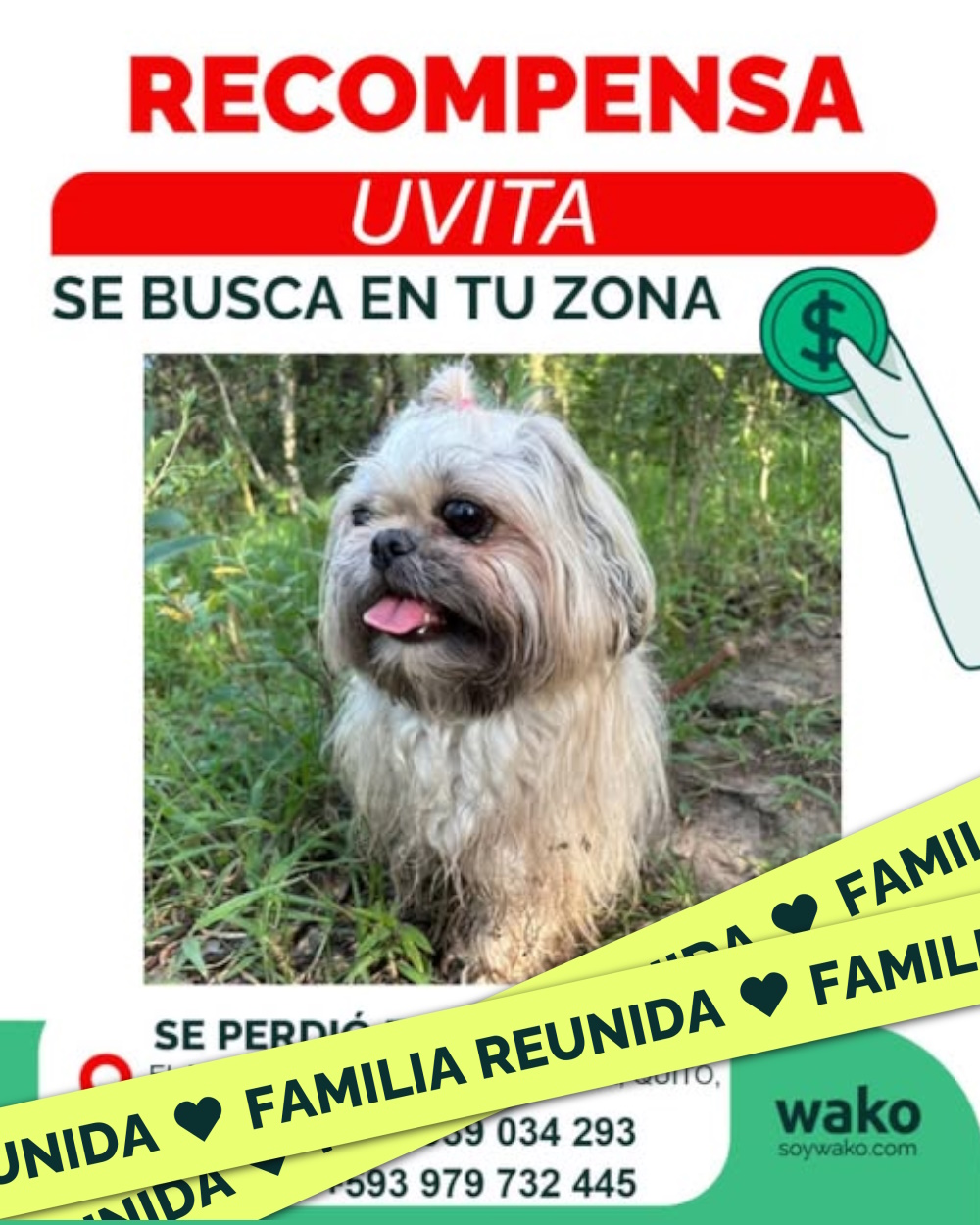 Mascota reunida