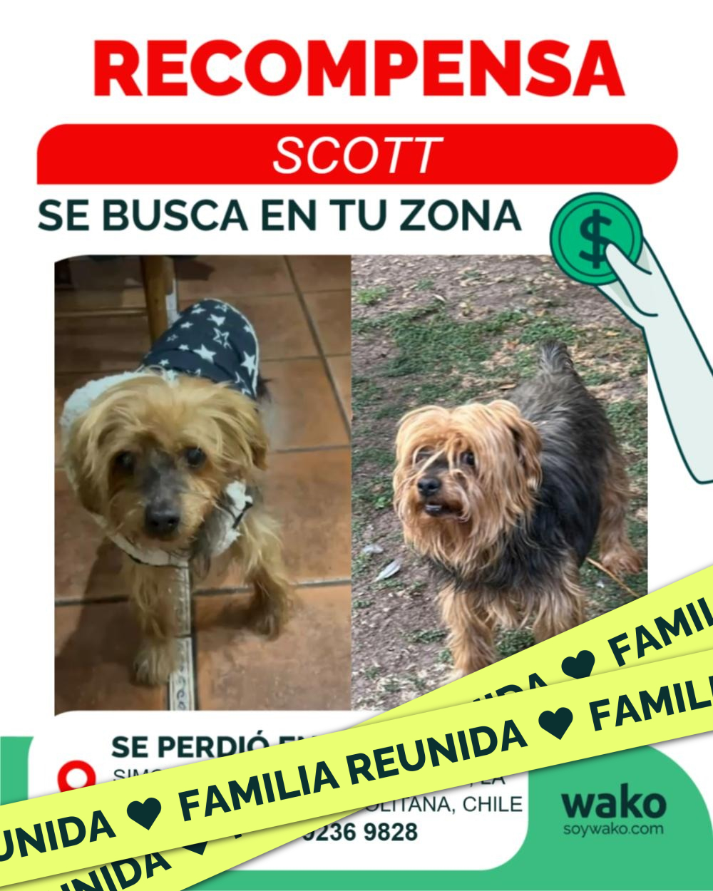 Mascota reunida