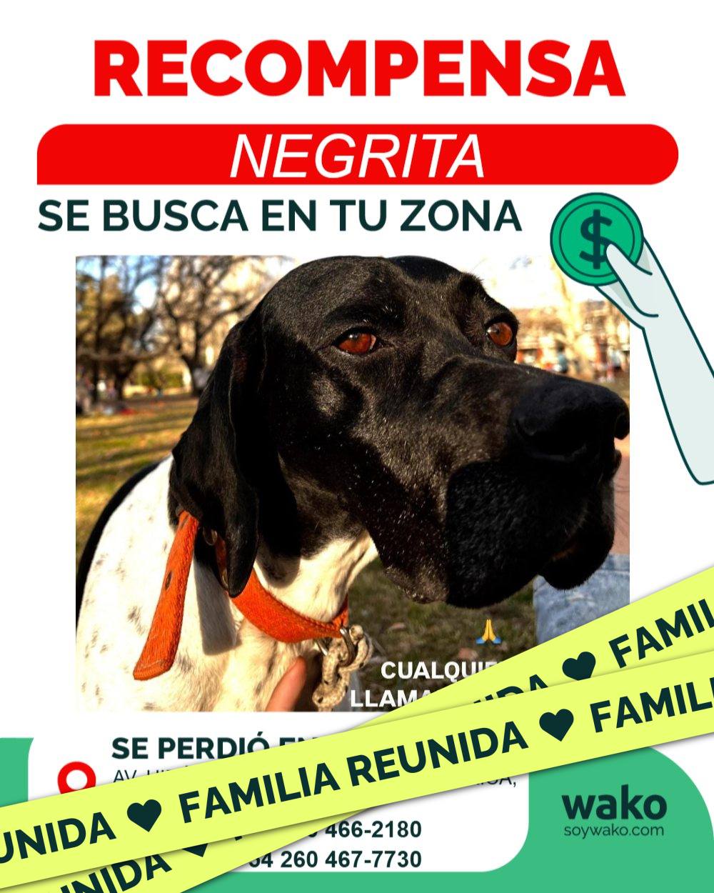 Mascota reunida