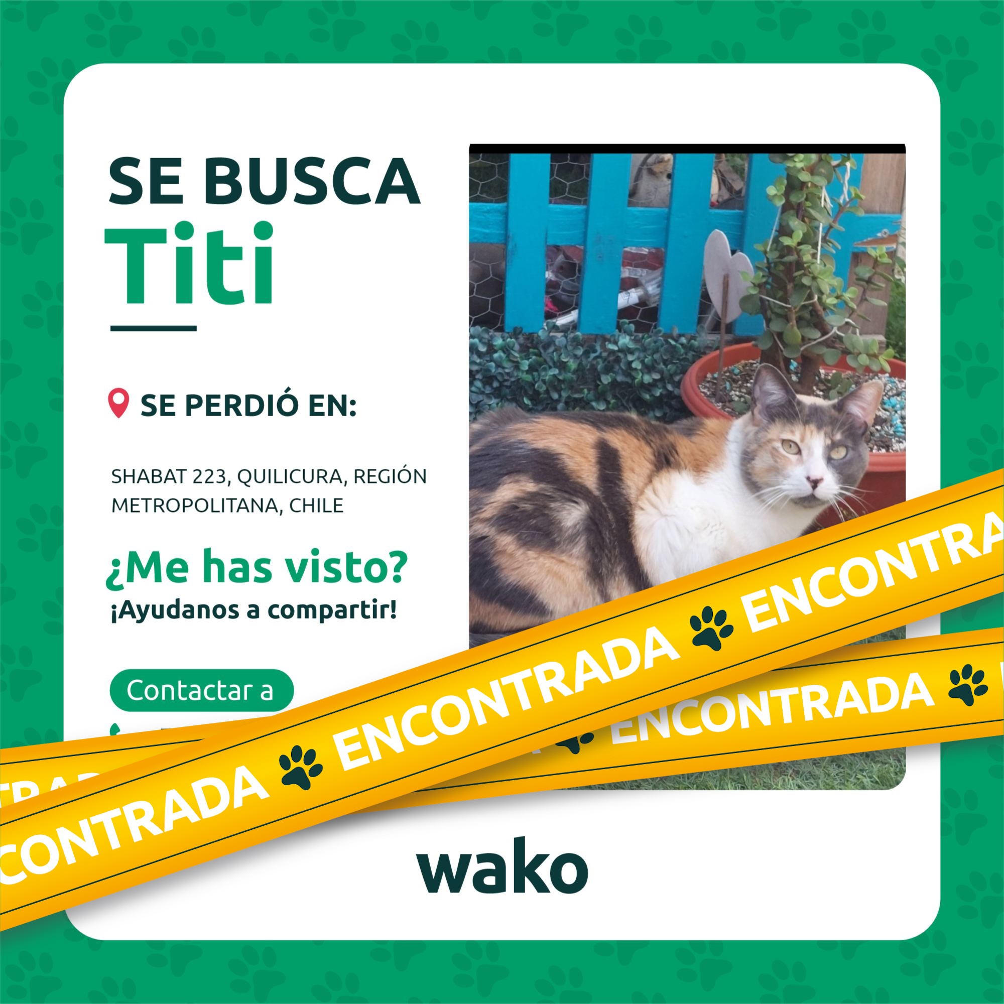 Mascota reunida