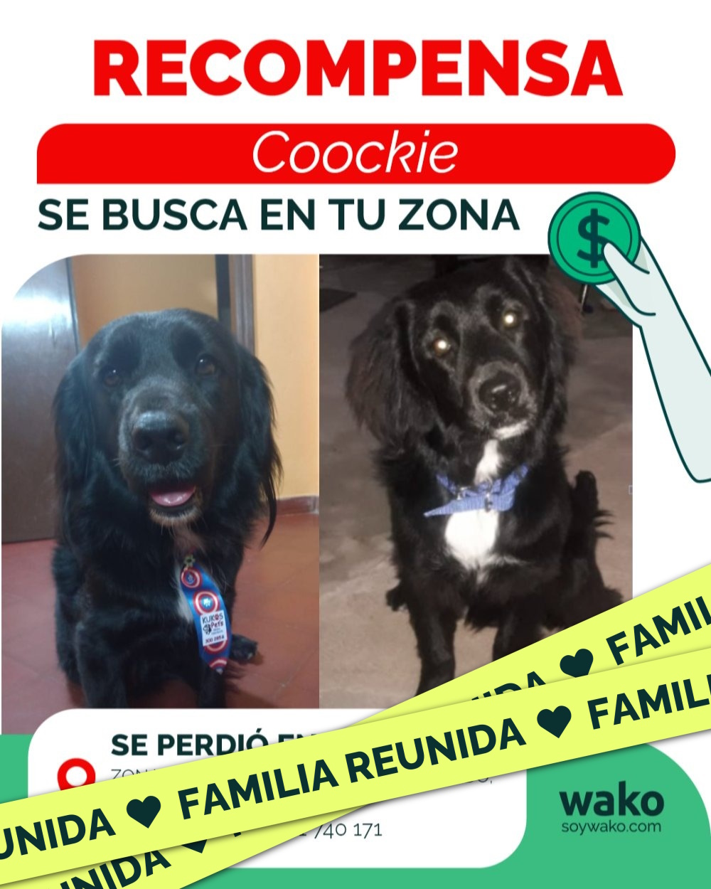 Mascota reunida