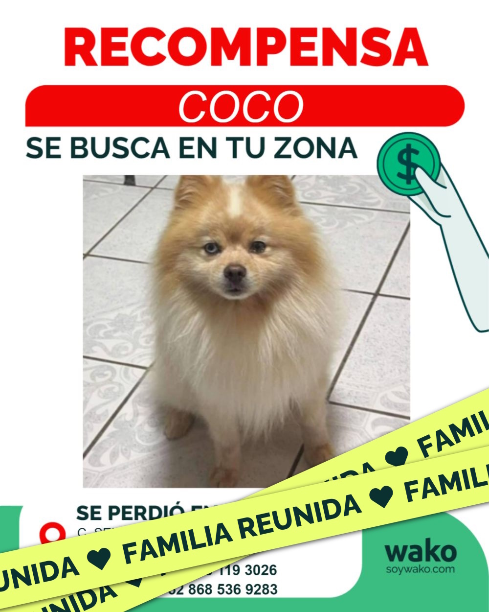 Mascota reunida