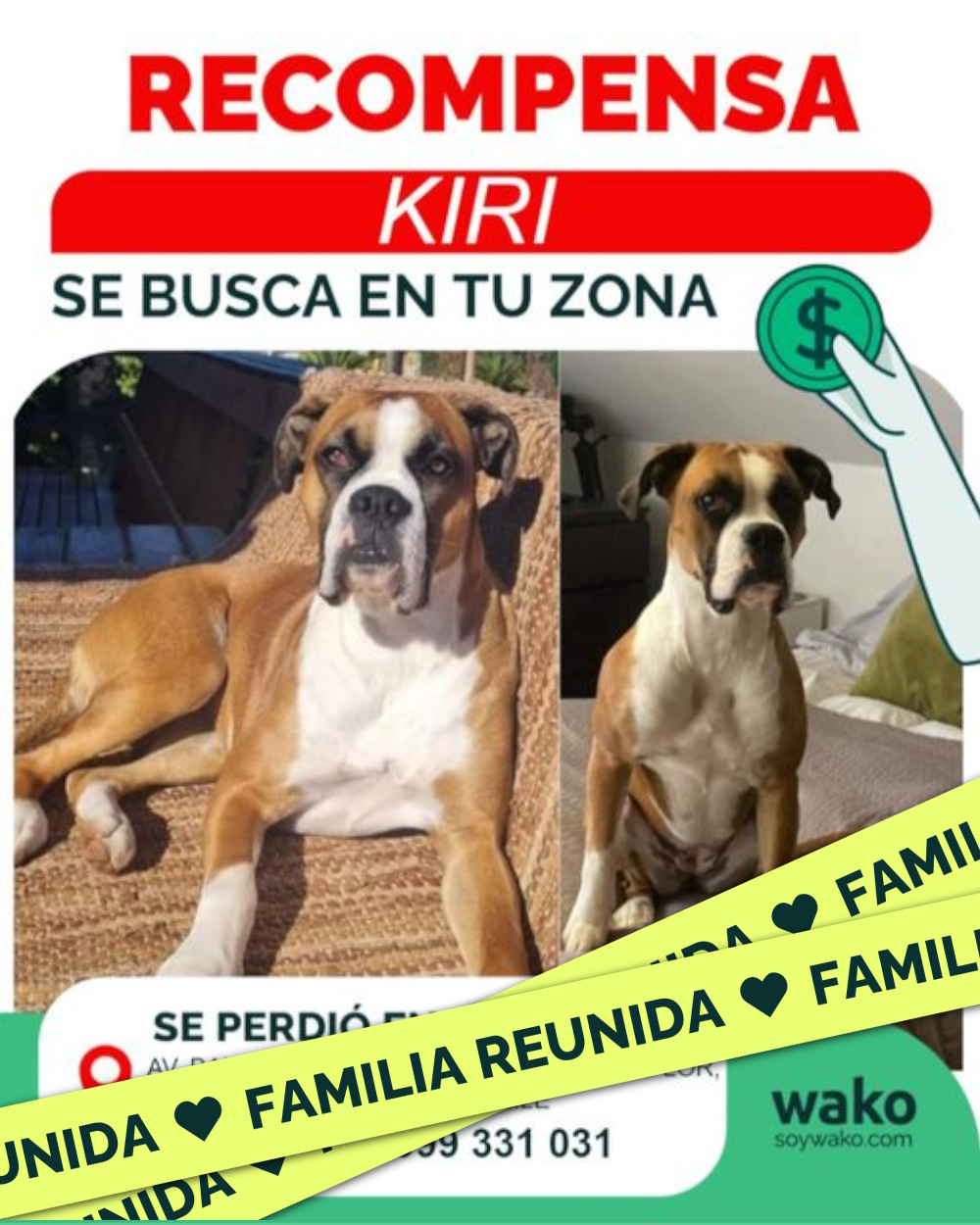 Mascota reunida