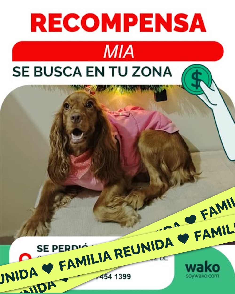 Mascota reunida