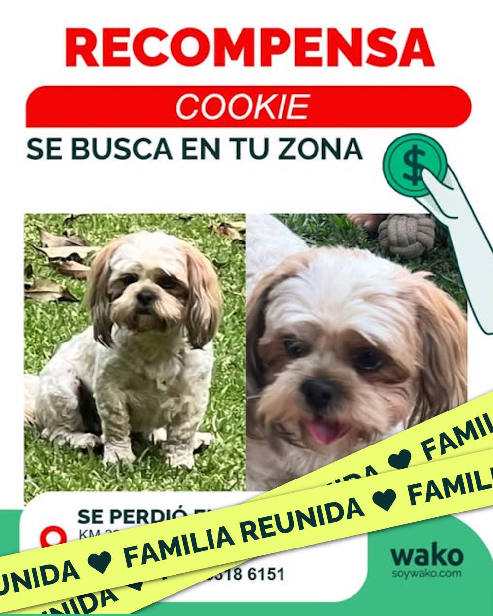 Mascota reunida