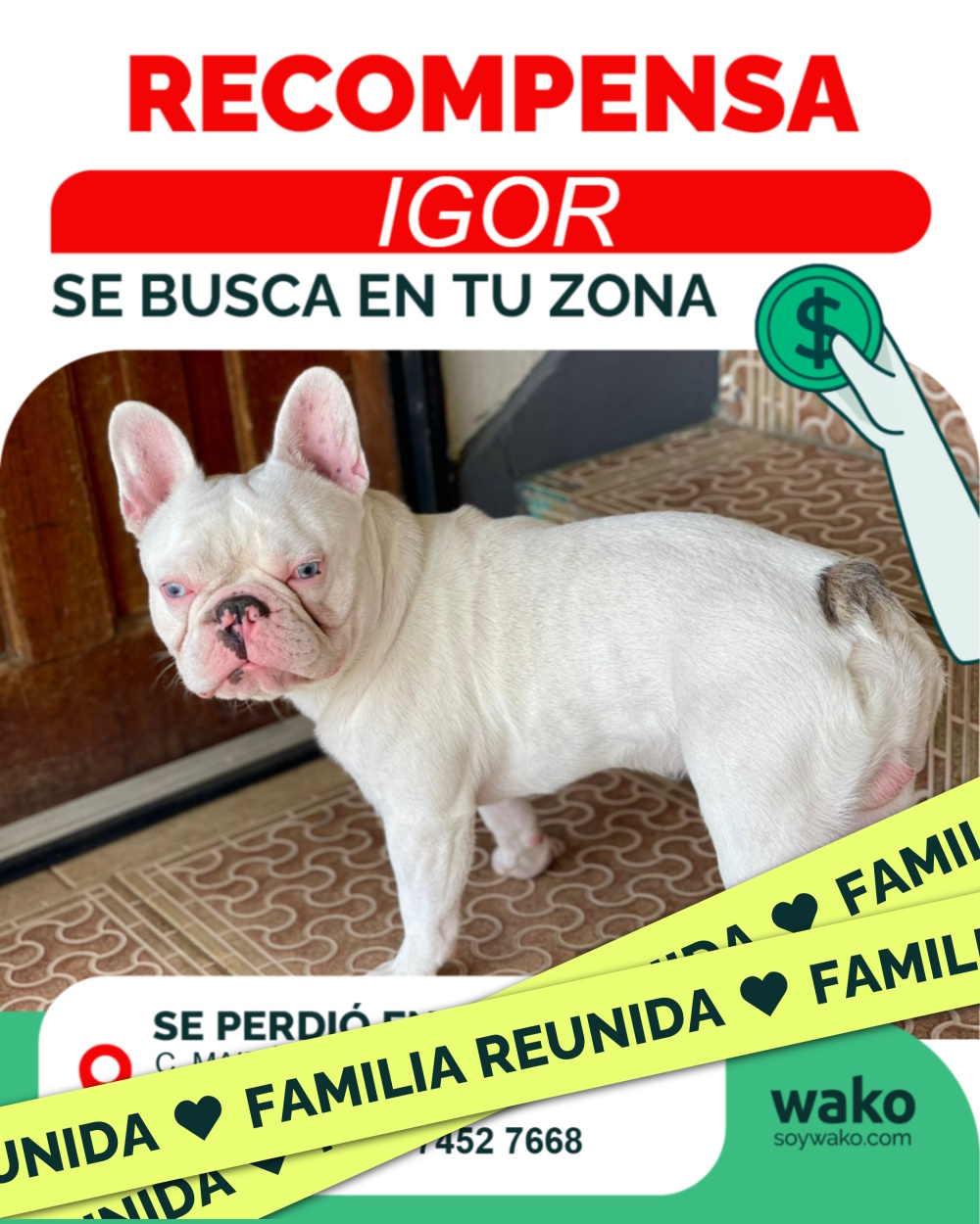 Mascota reunida