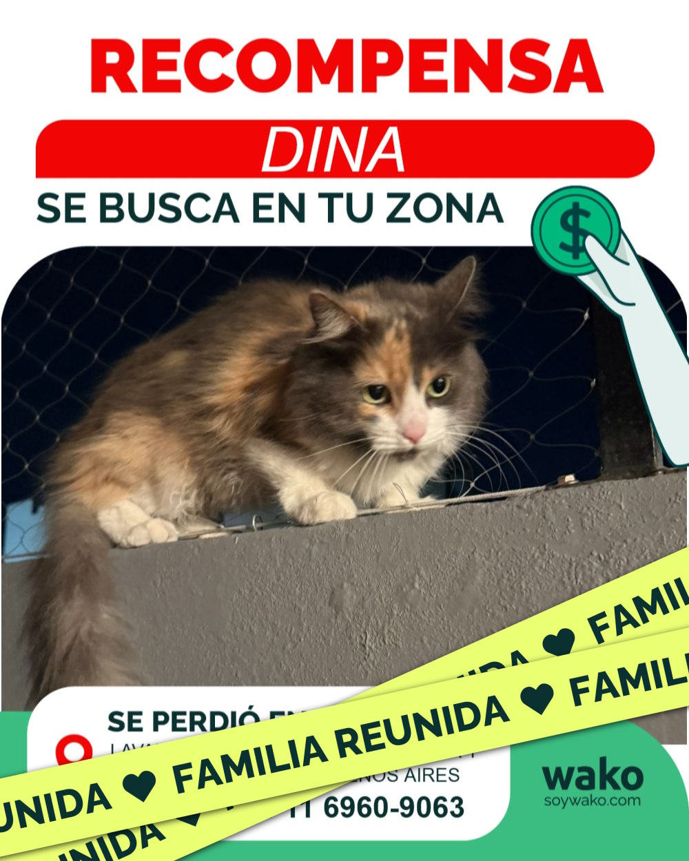Mascota reunida