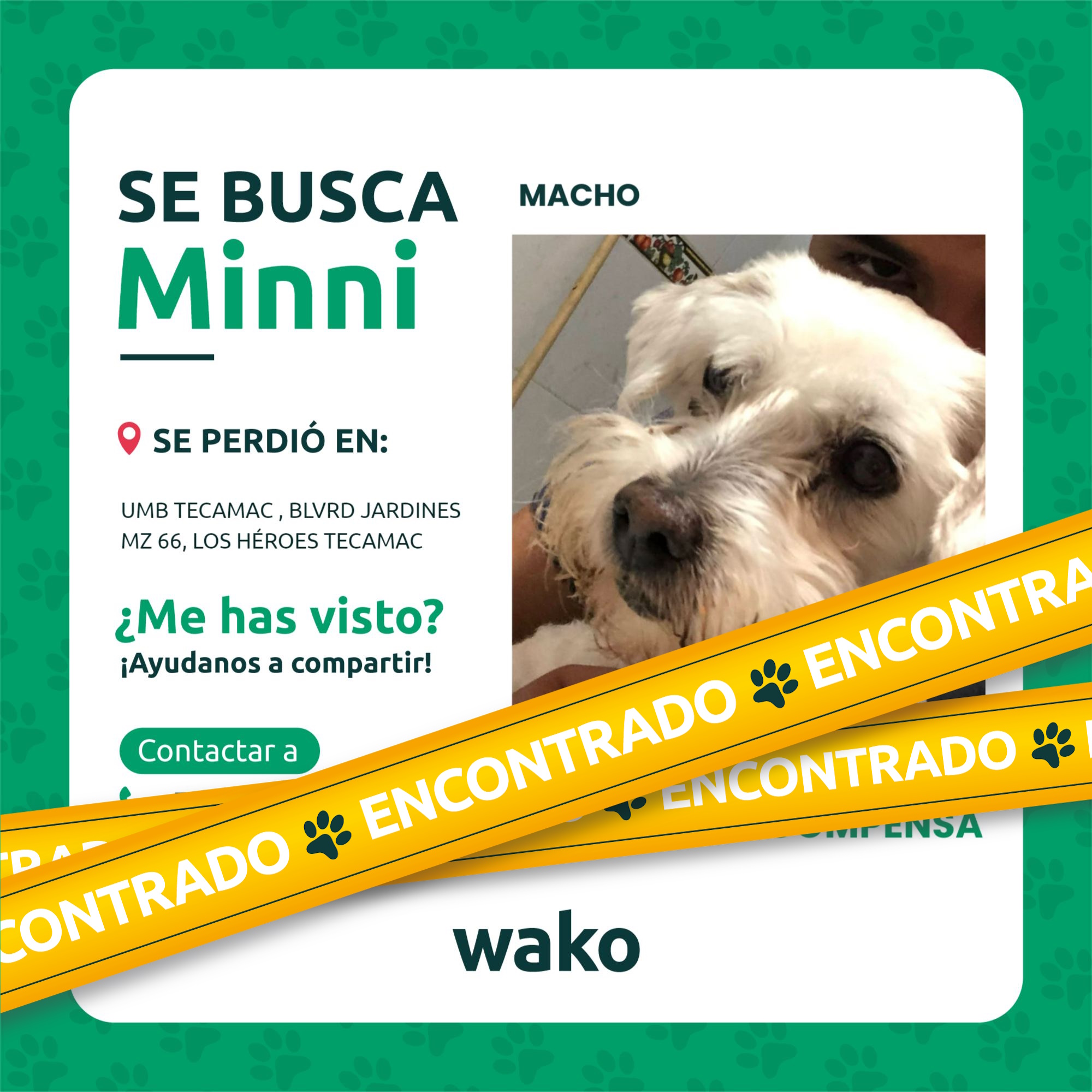 Mascota reunida