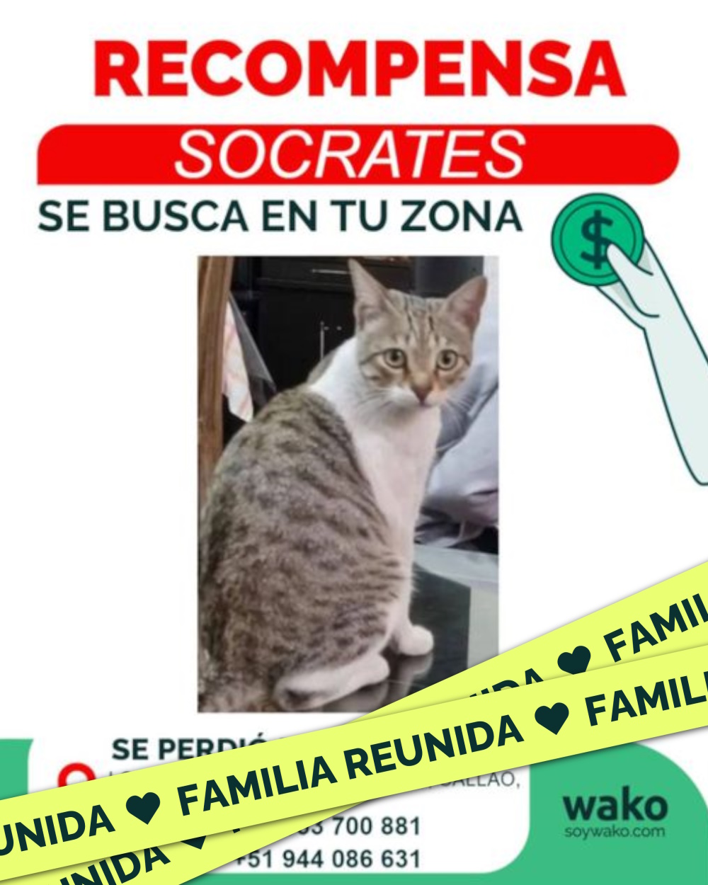 Mascota reunida