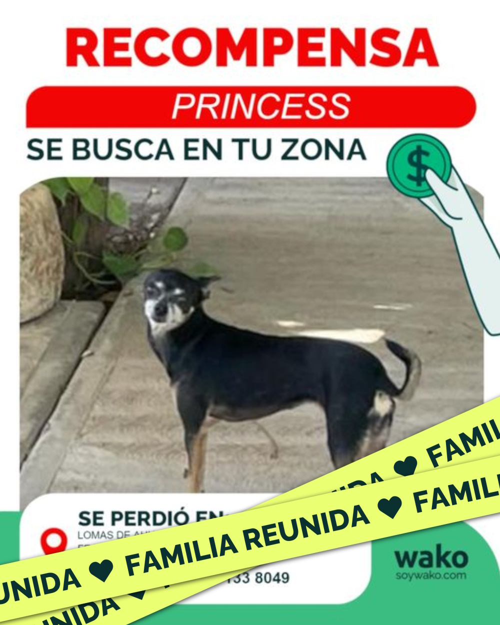 Mascota reunida