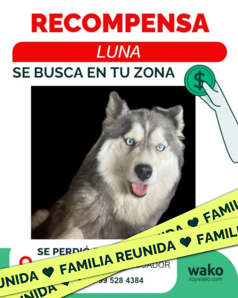 Mascota reunida