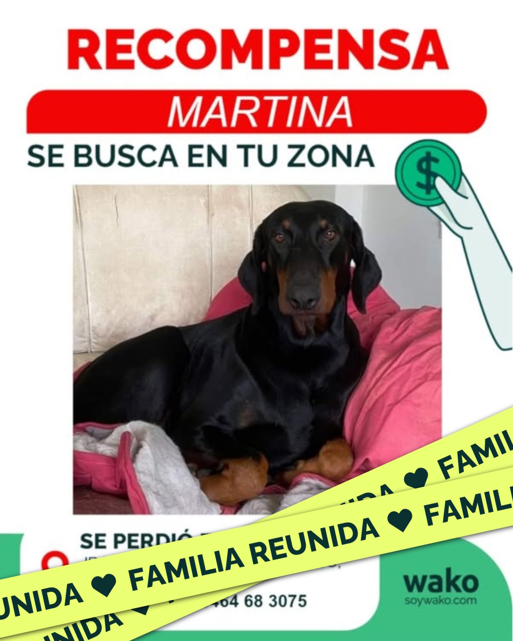 Mascota reunida