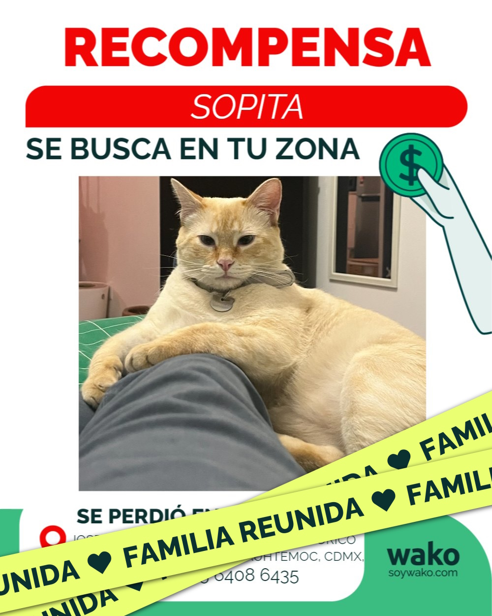 Mascota reunida