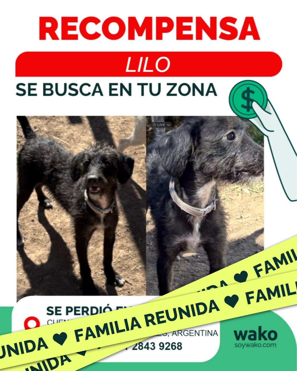 Mascota reunida