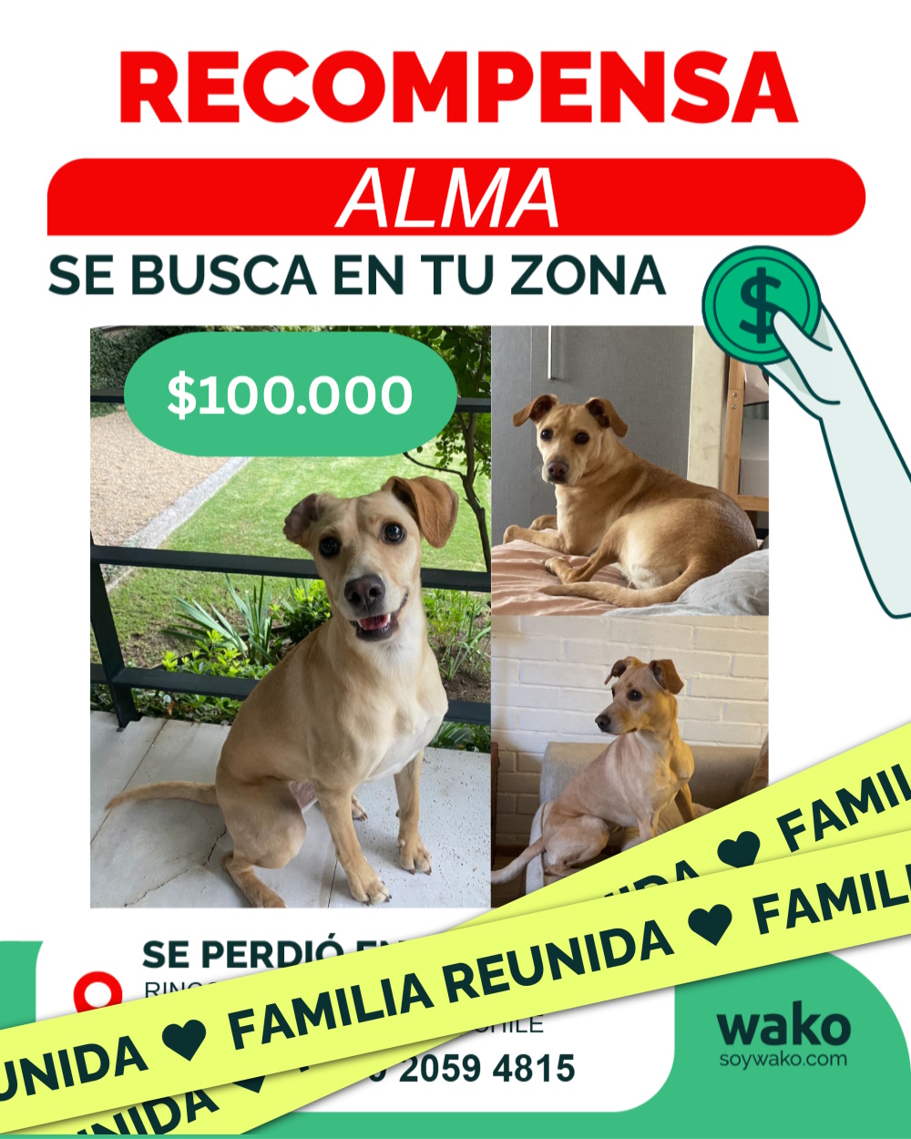 Mascota reunida