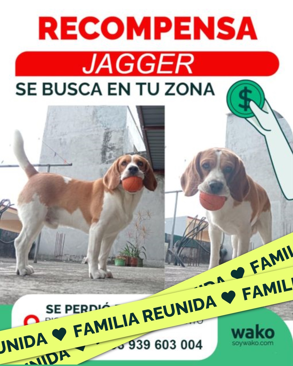 Mascota reunida