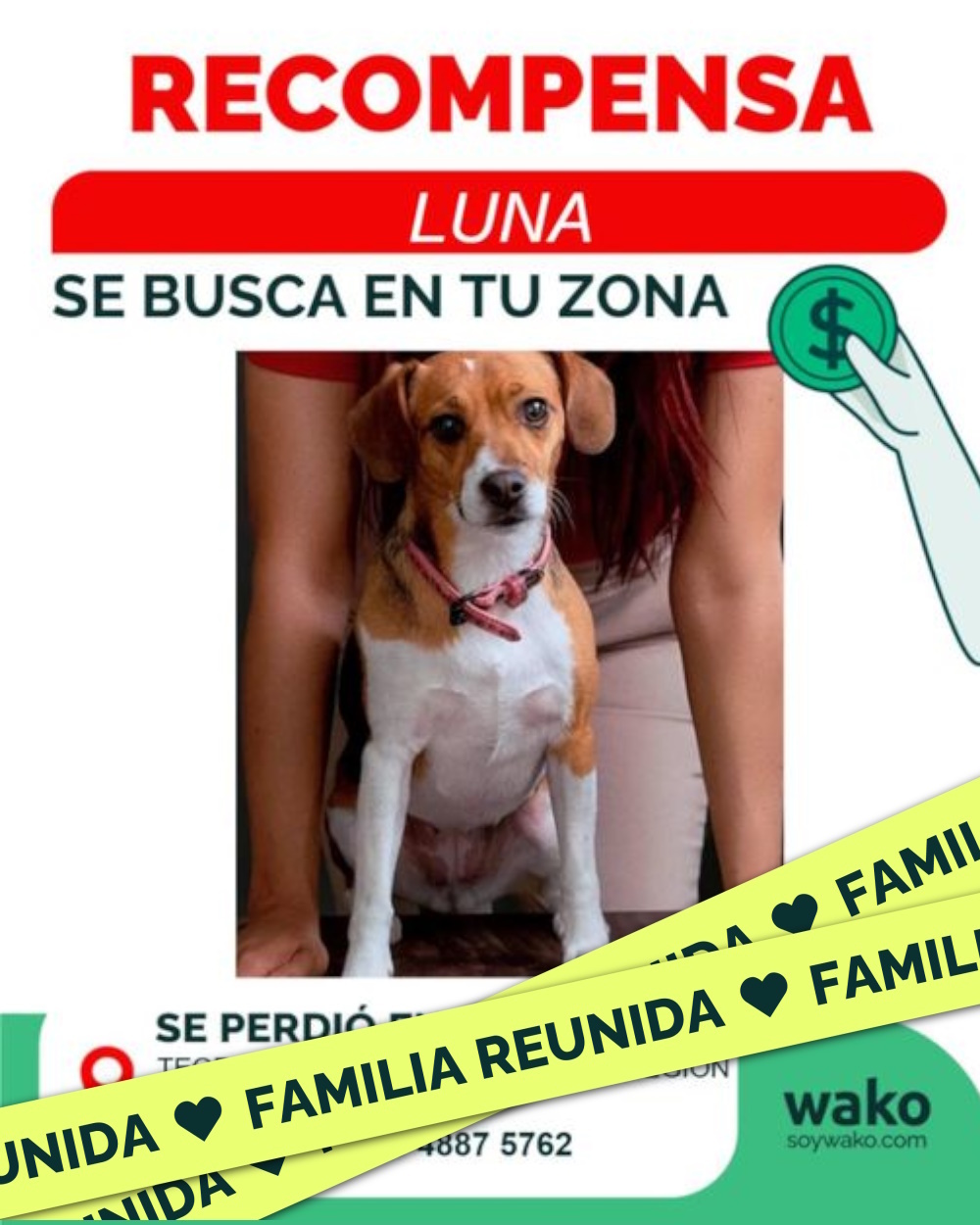 Mascota reunida
