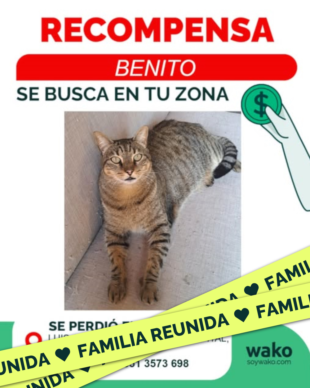 Mascota reunida