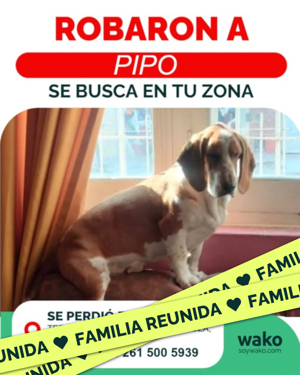 Mascota reunida