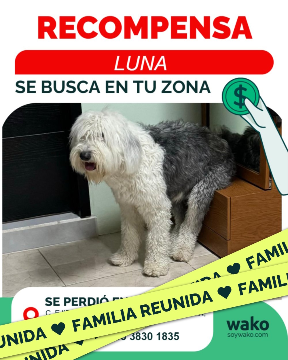 Mascota reunida